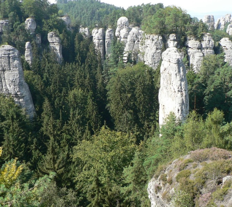 Czech